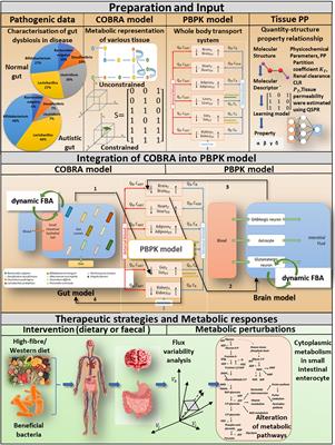 A Computational Framework for Studying Gut-Brain Axis in Autism Spectrum Disorder